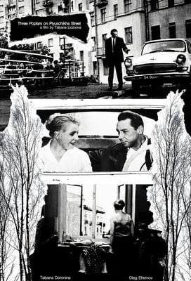 Three Poplars on Plyuschikha Street