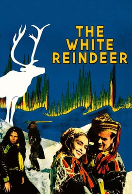 The White Reindeer