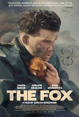 The Fox