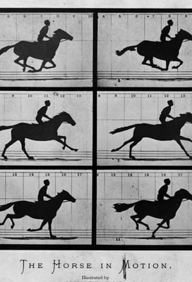 Sallie Gardner at a Gallop