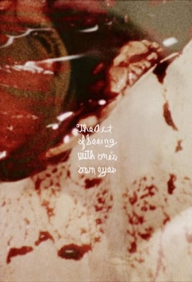 The Act of Seeing with One's Own Eyes