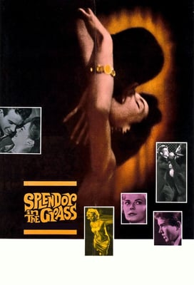 Splendor in the Grass