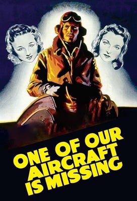 One of Our Aircraft Is Missing